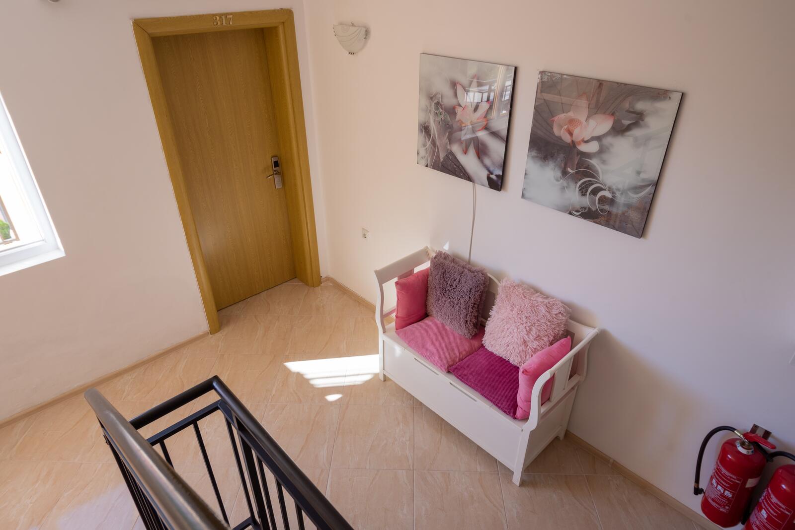 Orios in pictures